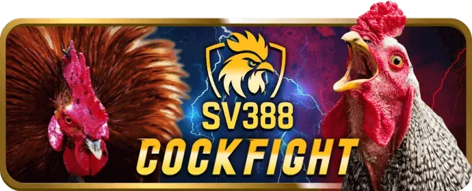Hỗ Trợ bj3888 login